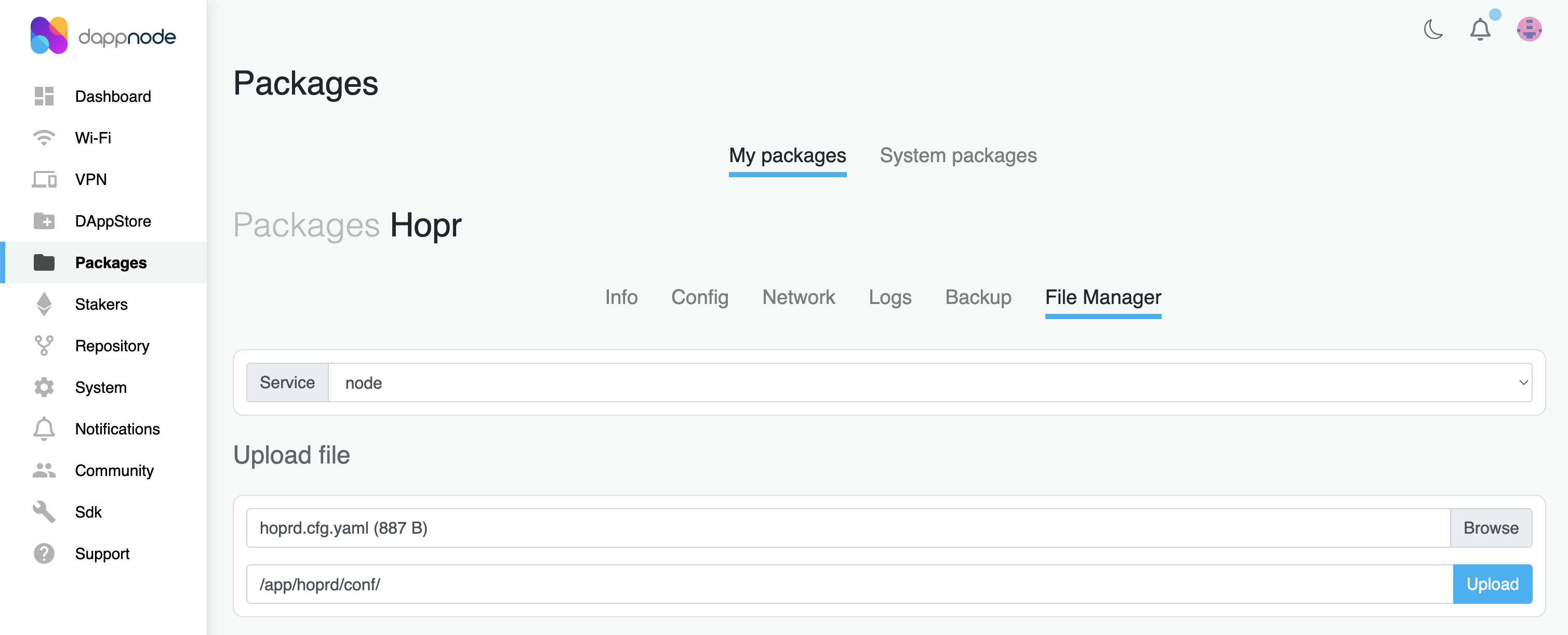 Dappnode file upload path