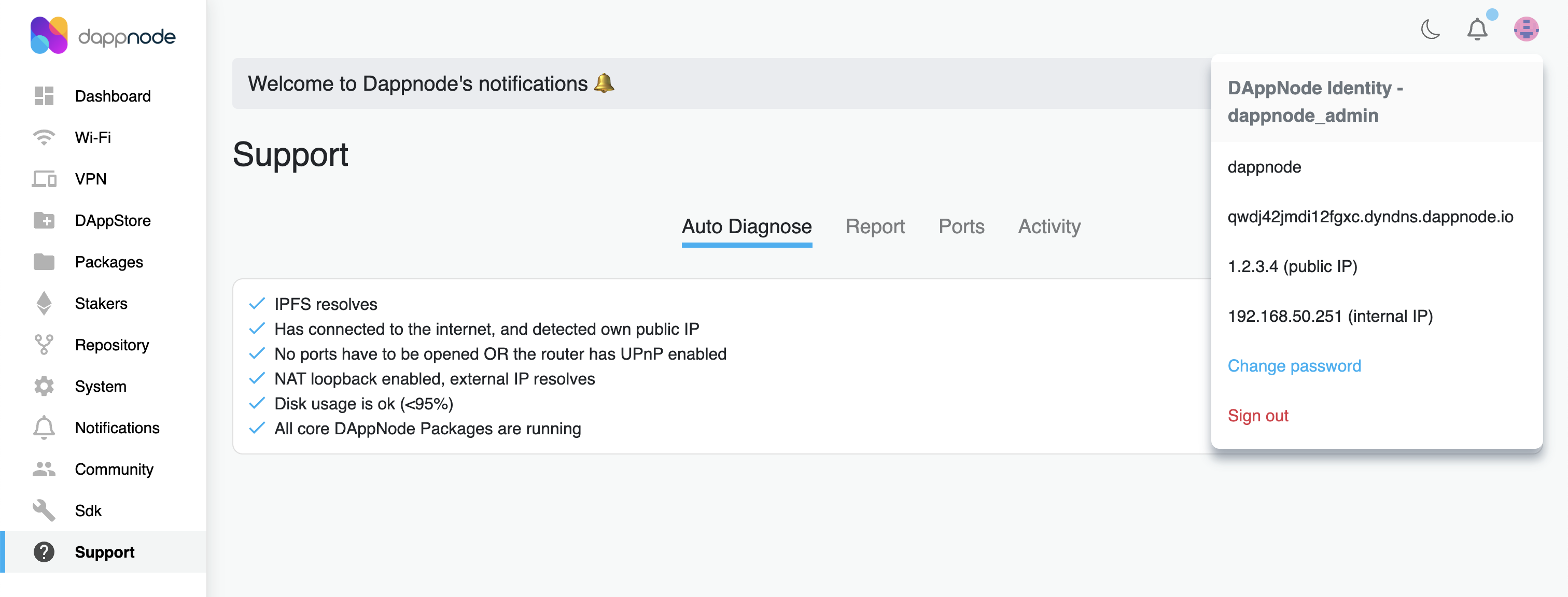 Dappnode public ip