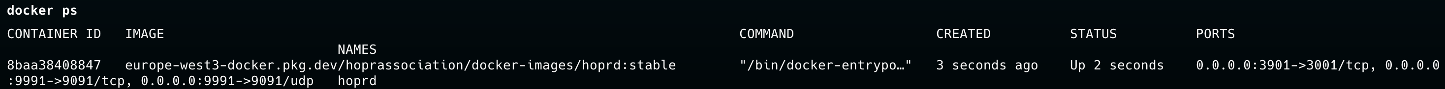 Docker ps